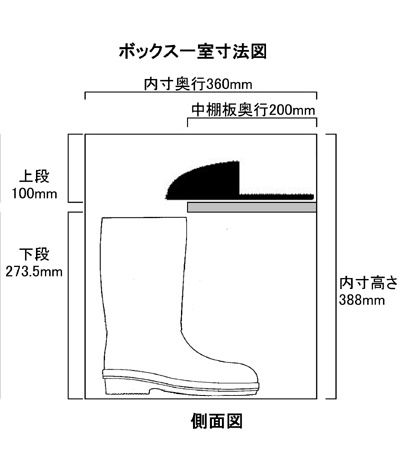 tCpH388@}摜